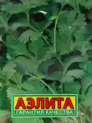 Семена Кориандр овощной "Бородинский" набор 1, 3, 5 уп
