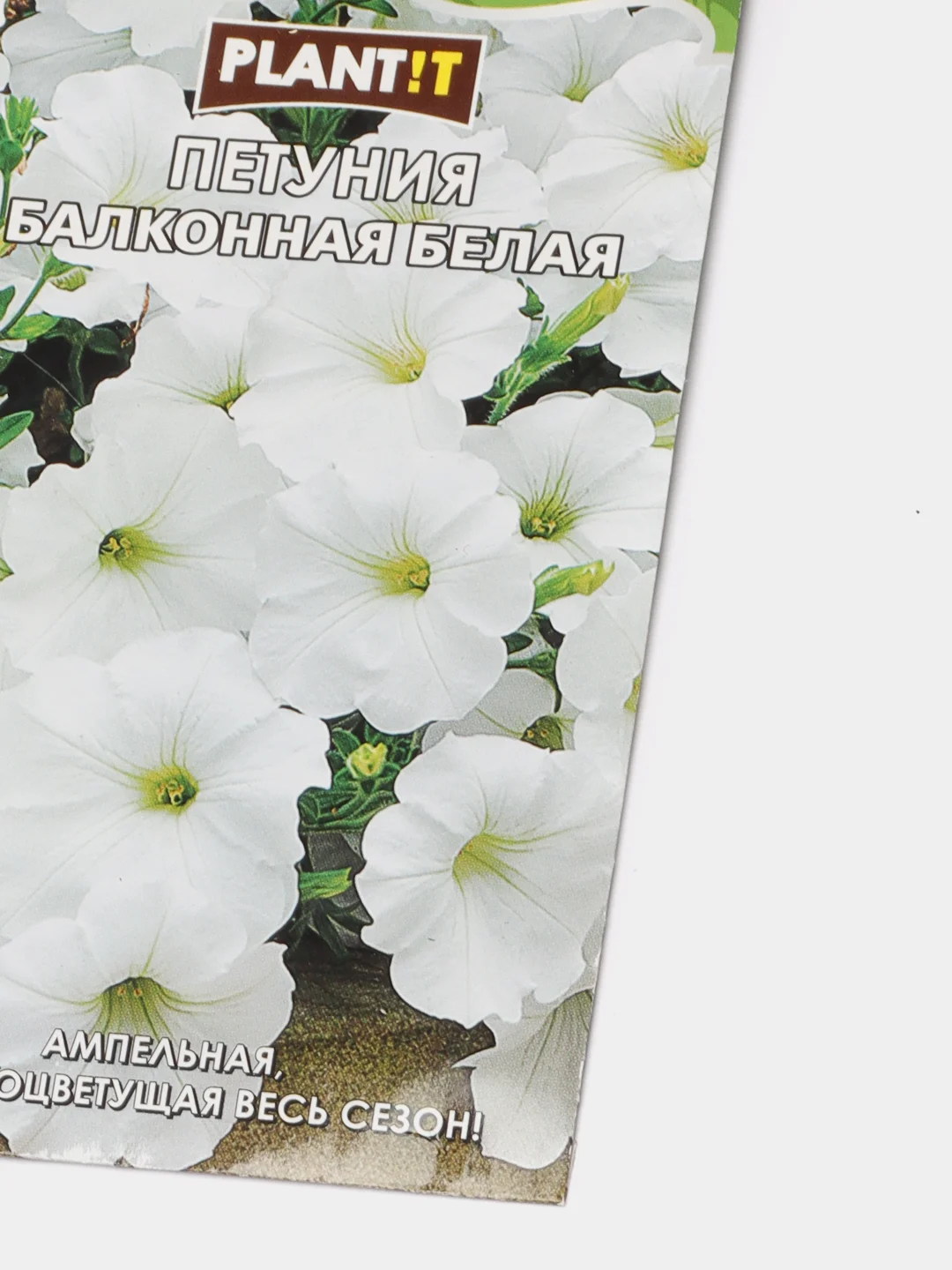 Семена Петуния "Балконная белая" набор 1, 3, 5 уп