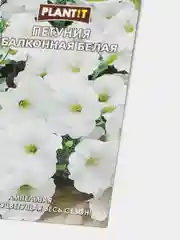 Семена Петуния "Балконная белая" набор 1, 3, 5 уп