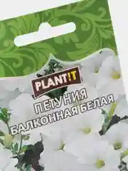 Семена Петуния "Балконная белая" набор 1, 3, 5 уп