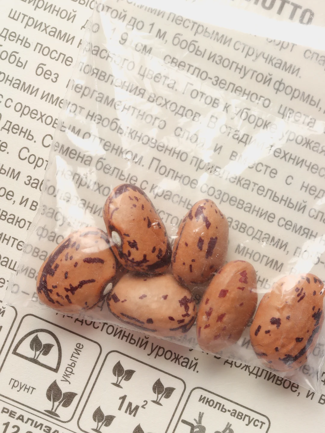 Семена Фасоль "Борлотто" набор 1, 3, 5 уп