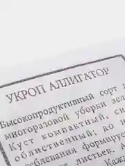 Семена Укроп "Аллигатор" набор 1, 5, 10 уп