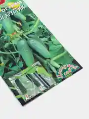 Огурец "Балконный хрустик" (семена)