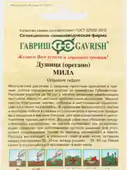 Семена орегано Душица "Мила"