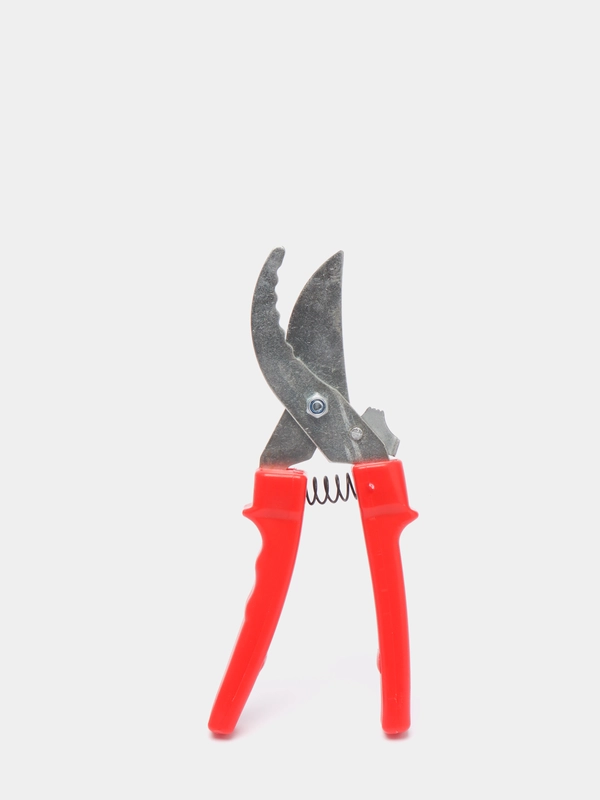 Секатор садовый, плоскостной, зубчатый, 22 см