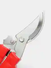 Секатор садовый, плоскостной, зубчатый, 22 см