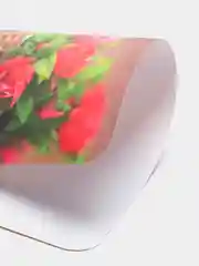 Коралловый салфетка кухонная. Плейсмат. Скатерть. Подставка под посуду. Салфетка сервировочная