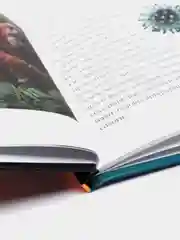 Бронзовый энциклопедия для детей "В мире знаний", серия книг, твёрдый переплёт, яркие иллюстрации