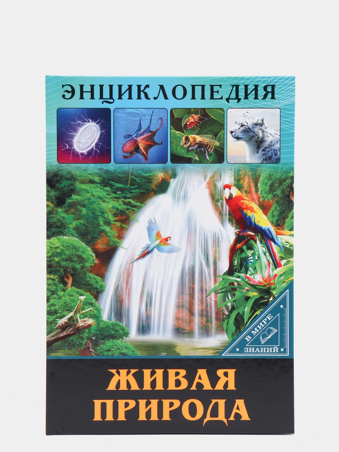 Бронзовый энциклопедия для детей "В мире знаний", серия книг, твёрдый переплёт, яркие иллюстрации