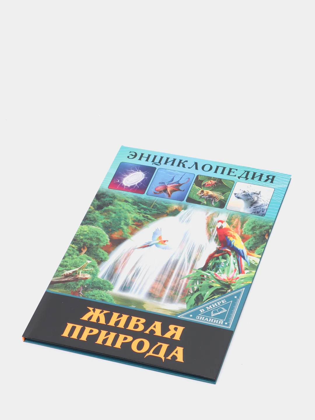 Бронзовый энциклопедия для детей "В мире знаний", серия книг, твёрдый переплёт, яркие иллюстрации