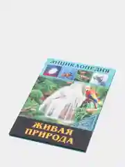 Бронзовый энциклопедия для детей "В мире знаний", серия книг, твёрдый переплёт, яркие иллюстрации