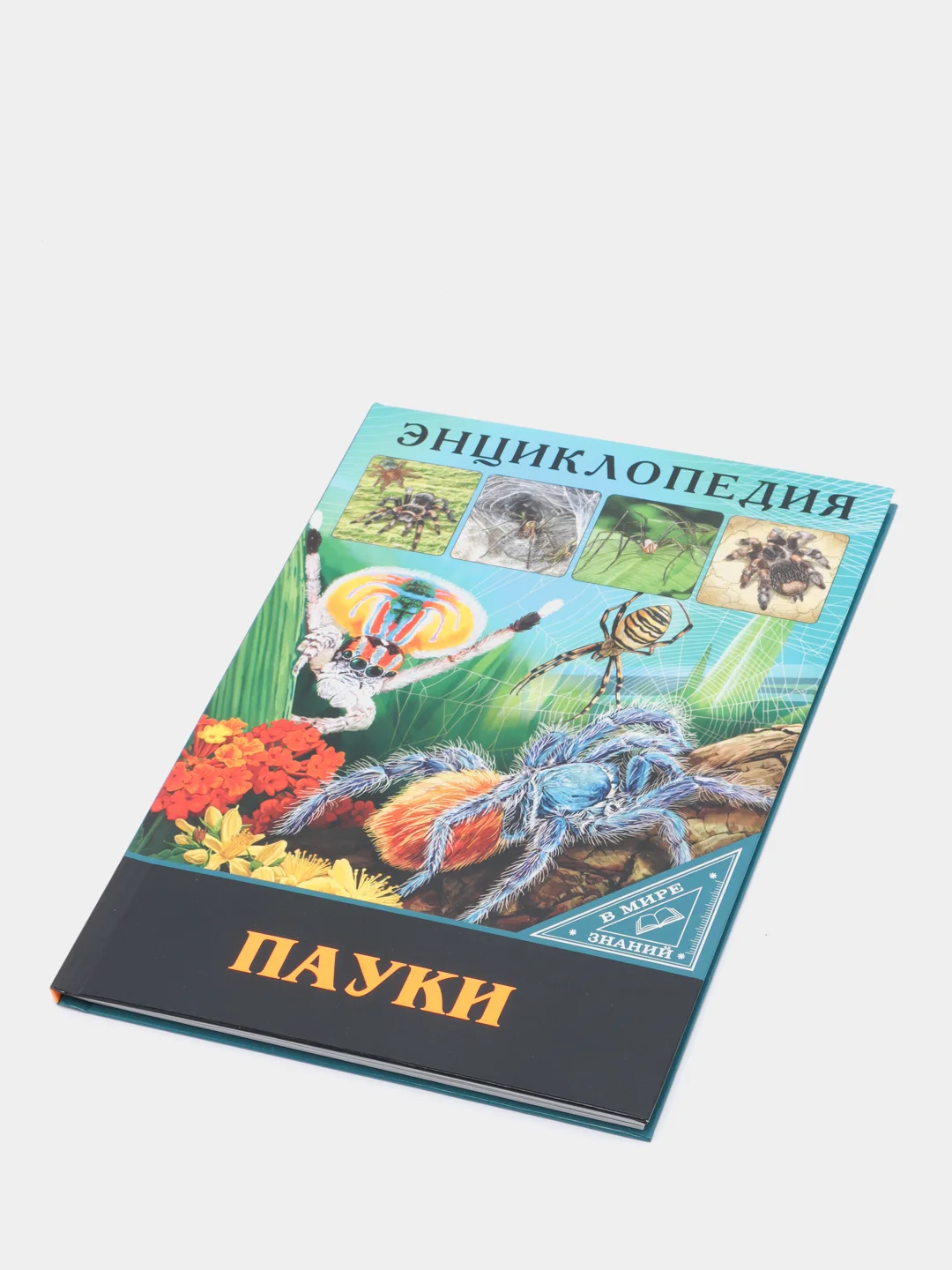 Голубой энциклопедия для детей "В мире знаний", серия книг, твёрдый переплёт, яркие иллюстрации