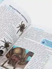 Голубой энциклопедия для детей "В мире знаний", серия книг, твёрдый переплёт, яркие иллюстрации