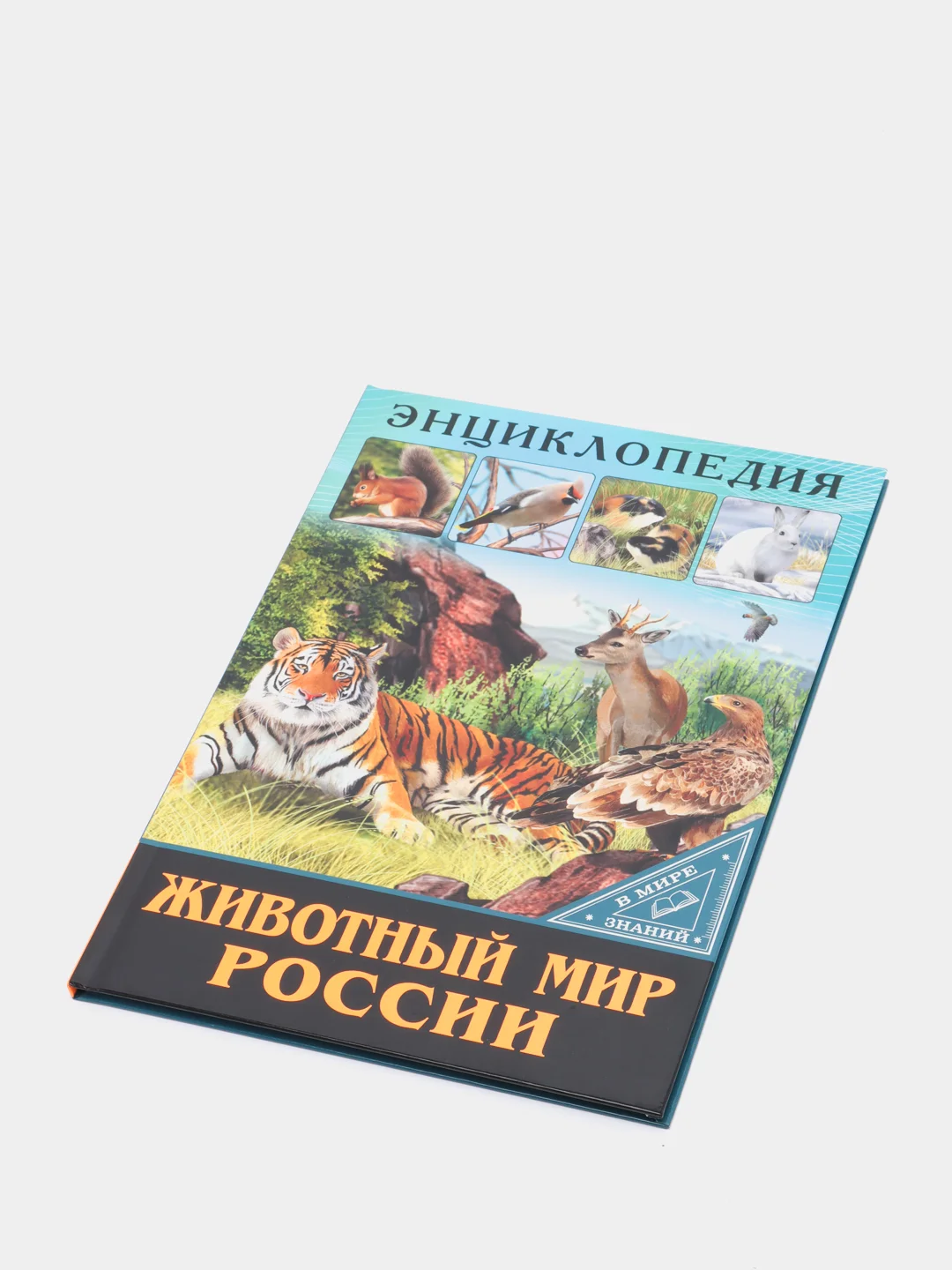Бежевый меланж энциклопедия для детей "В мире знаний", серия книг, твёрдый переплёт, яркие иллюстрации