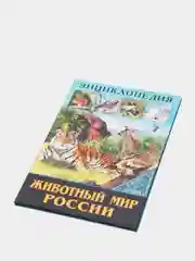 Бежевый меланж энциклопедия для детей "В мире знаний", серия книг, твёрдый переплёт, яркие иллюстрации