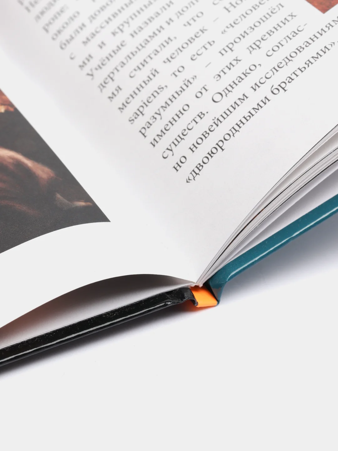 Красный энциклопедия для детей "В мире знаний", серия книг, твёрдый переплёт, яркие иллюстрации