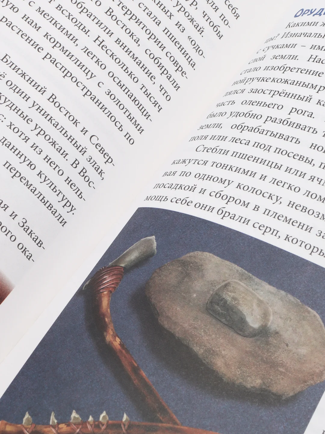 Красный энциклопедия для детей "В мире знаний", серия книг, твёрдый переплёт, яркие иллюстрации