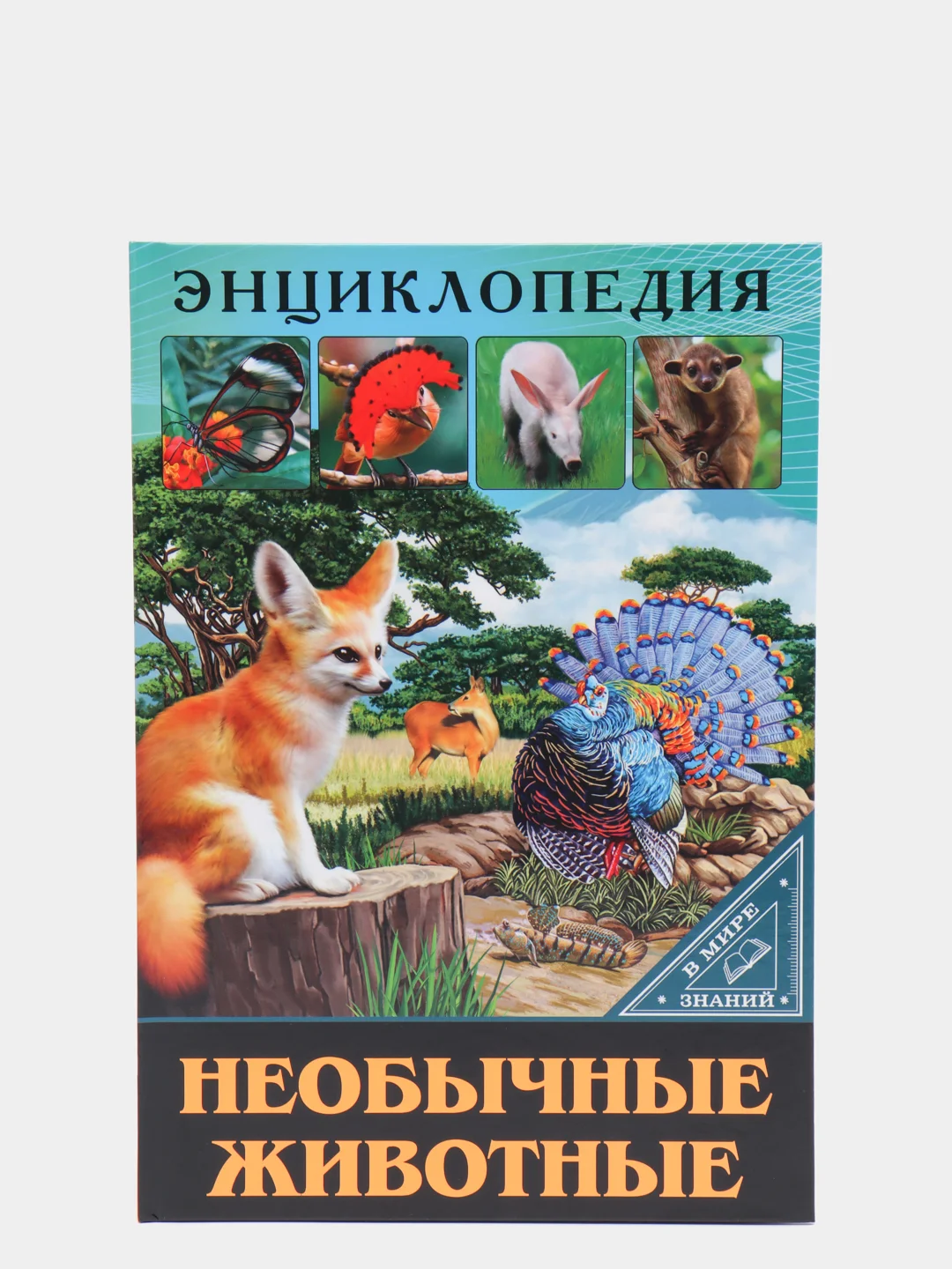 Бирюзовый энциклопедия для детей "В мире знаний", серия книг, твёрдый переплёт, яркие иллюстрации