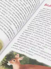 Бирюзовый энциклопедия для детей "В мире знаний", серия книг, твёрдый переплёт, яркие иллюстрации