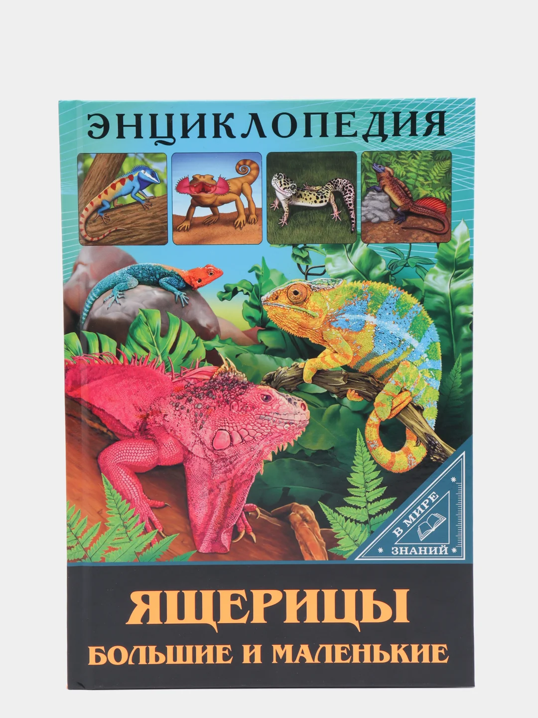Вишнёвый энциклопедия для детей "В мире знаний", серия книг, твёрдый переплёт, яркие иллюстрации