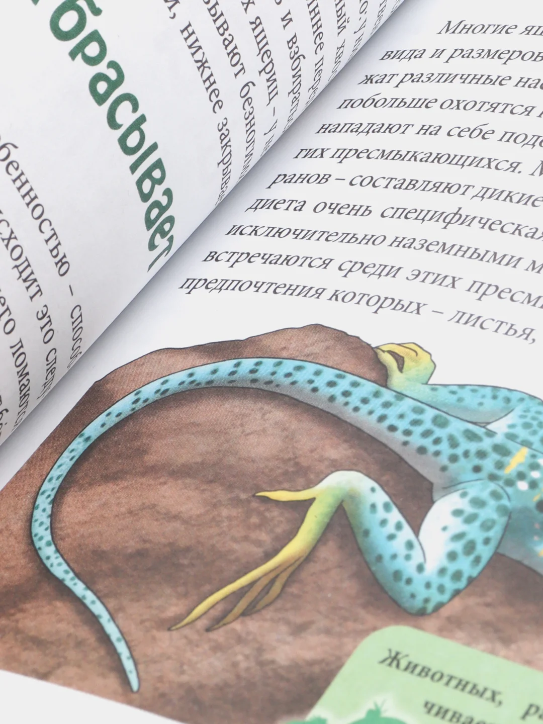 Вишнёвый энциклопедия для детей "В мире знаний", серия книг, твёрдый переплёт, яркие иллюстрации