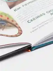 Вишнёвый энциклопедия для детей "В мире знаний", серия книг, твёрдый переплёт, яркие иллюстрации