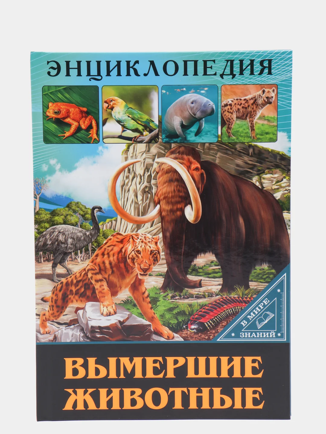 Кремовый энциклопедия для детей "В мире знаний", серия книг, твёрдый переплёт, яркие иллюстрации