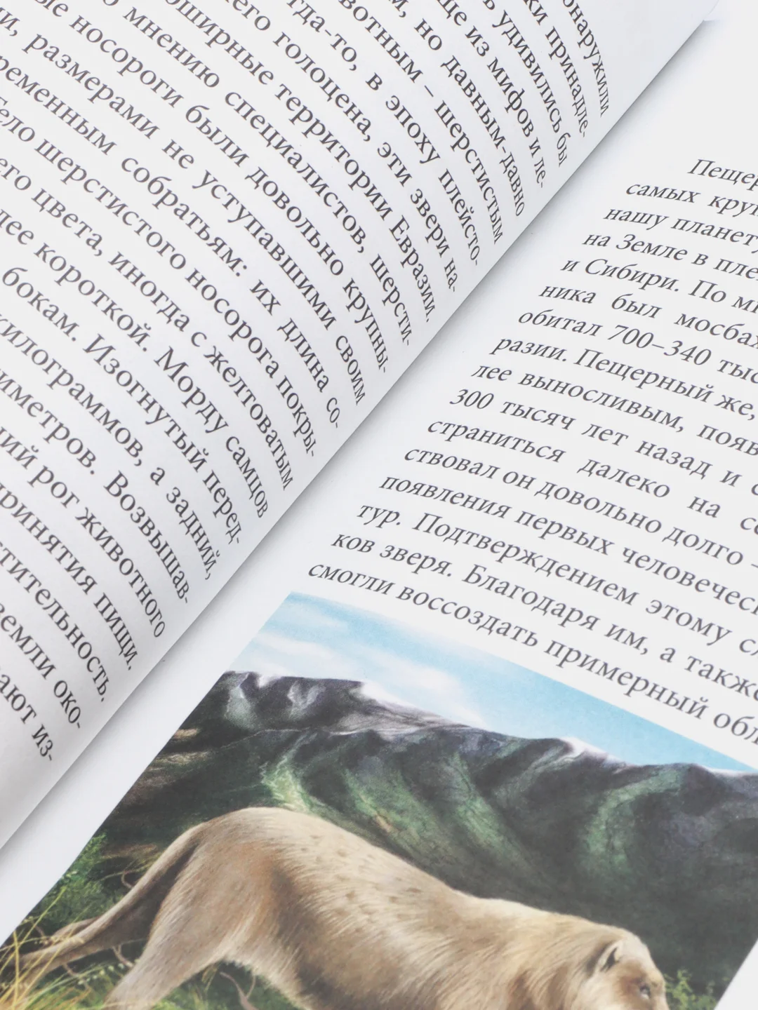 Кремовый энциклопедия для детей "В мире знаний", серия книг, твёрдый переплёт, яркие иллюстрации