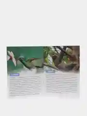 Обучающая книга "Животные Южной Америки", 20 страниц