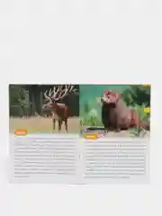 Набор обучающих книг Узнаём вместе "Животные нашей планеты", 4 штуки по 20 страниц