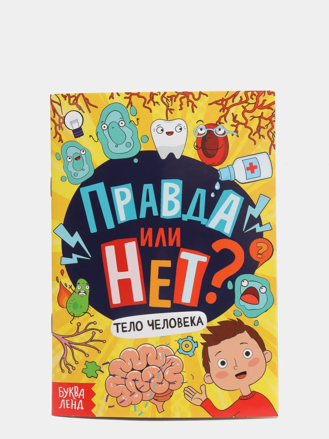Обучающая книга "Правда или нет? Тело человека", 44 страницы