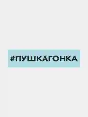 Белый наклейка на автомобиль "#пушкагонка"