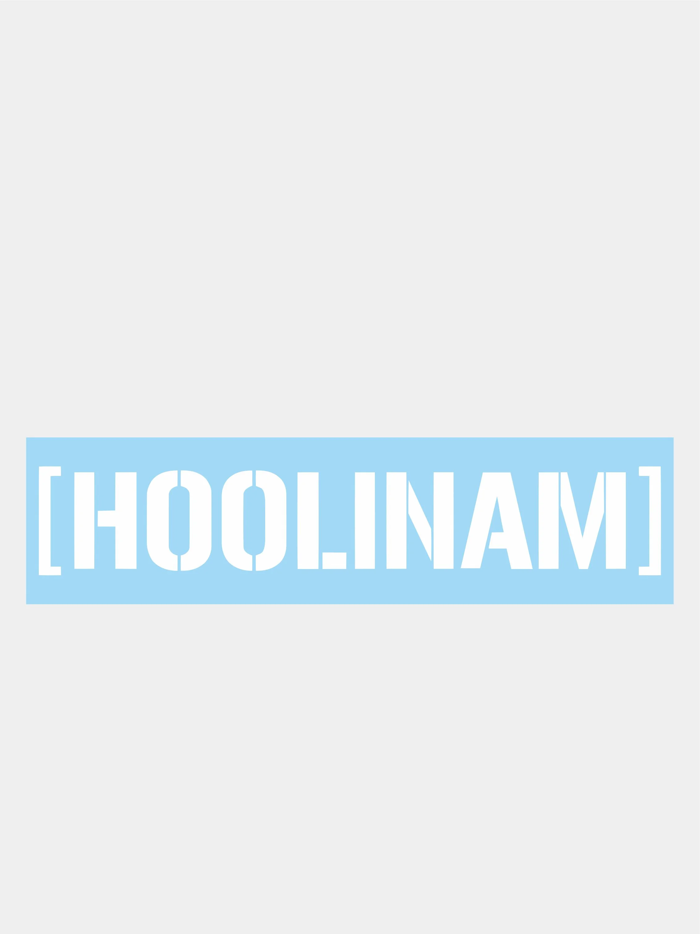 Белый наклейки на автомобиль "HOOLINAM"