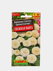 Бархатцы Снежная вьюга, семена, цветы