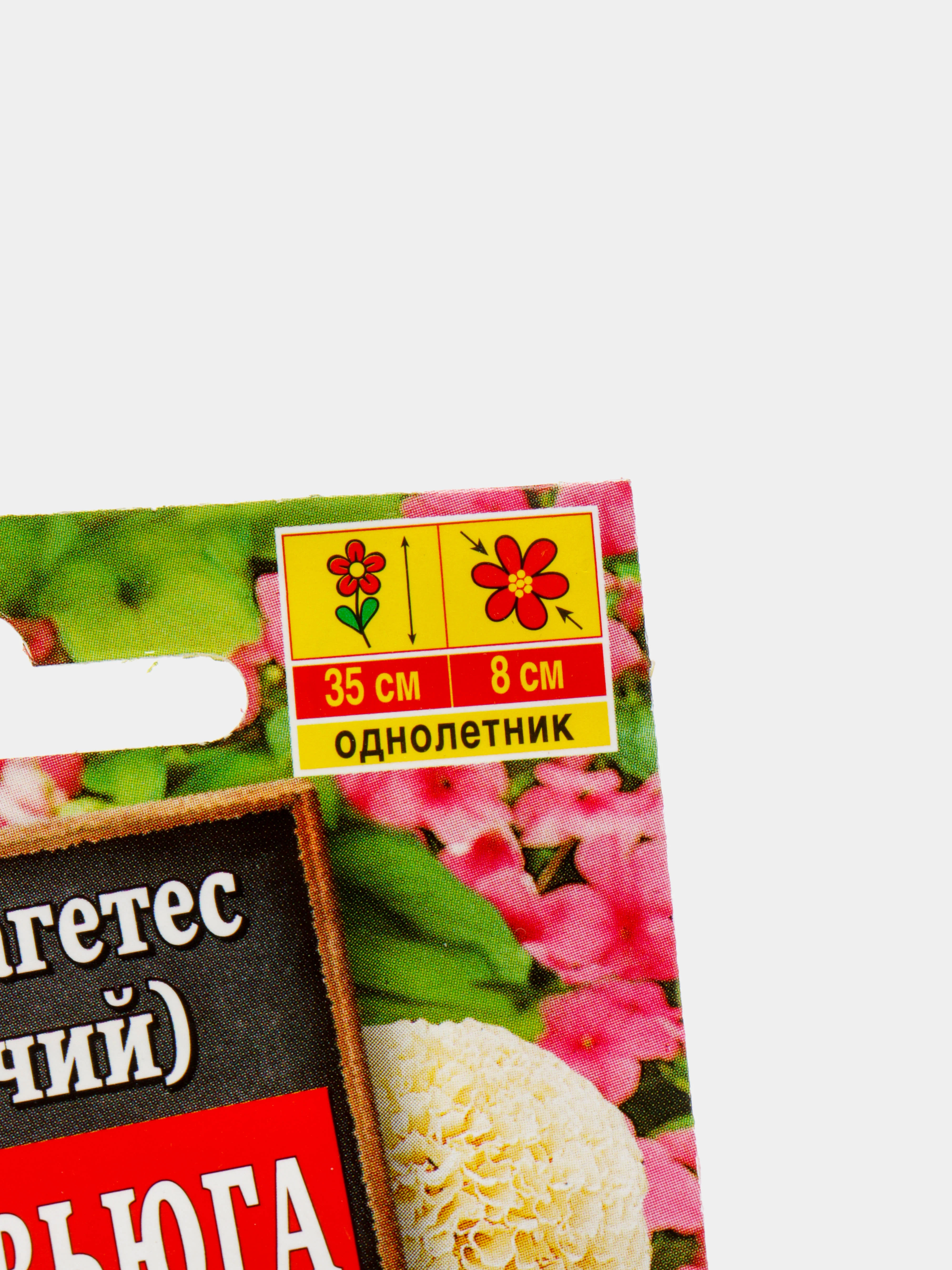 Бархатцы Снежная вьюга, семена, цветы