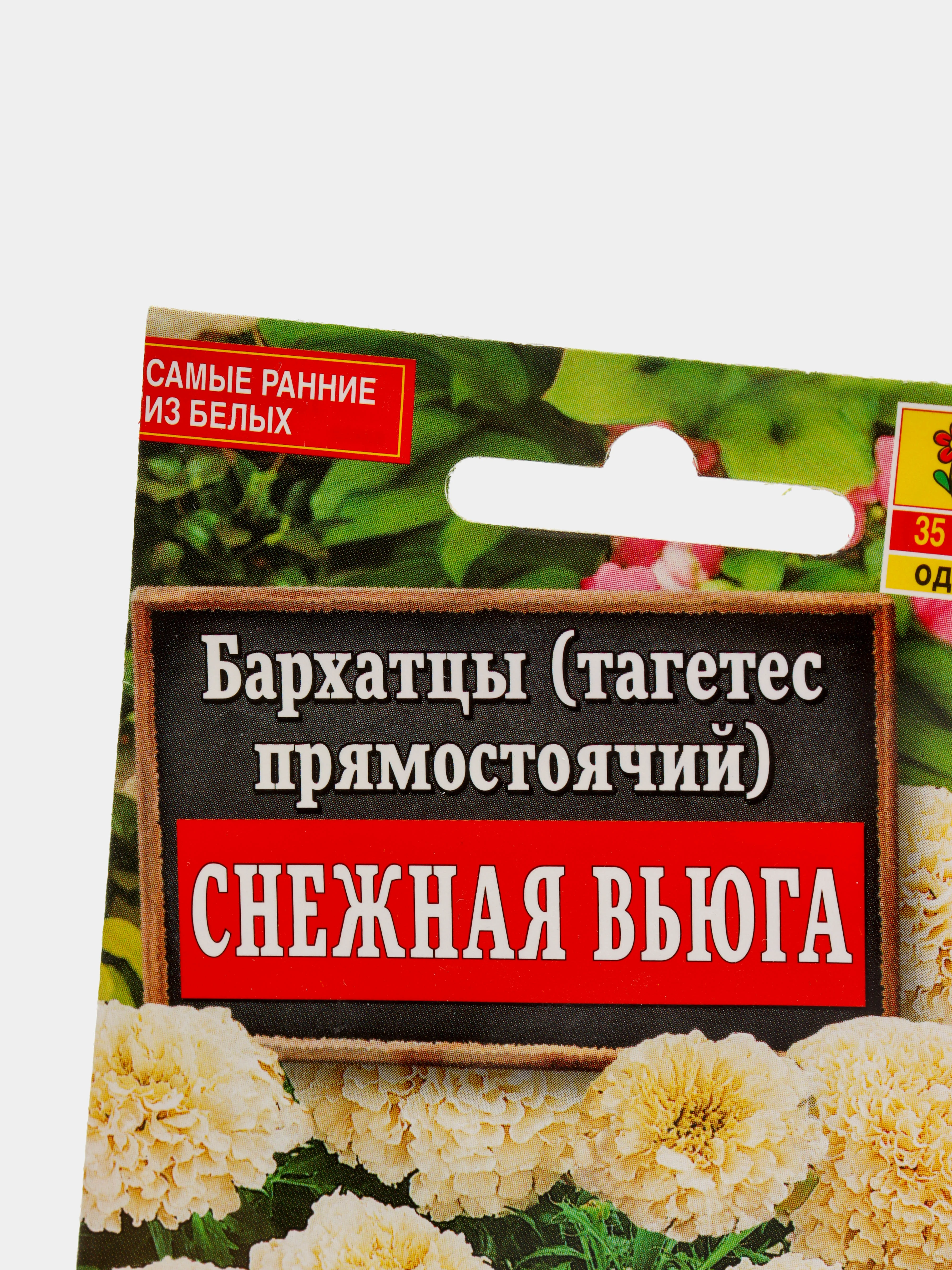 Бархатцы Снежная вьюга, семена, цветы