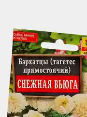 Бархатцы Снежная вьюга, семена, цветы