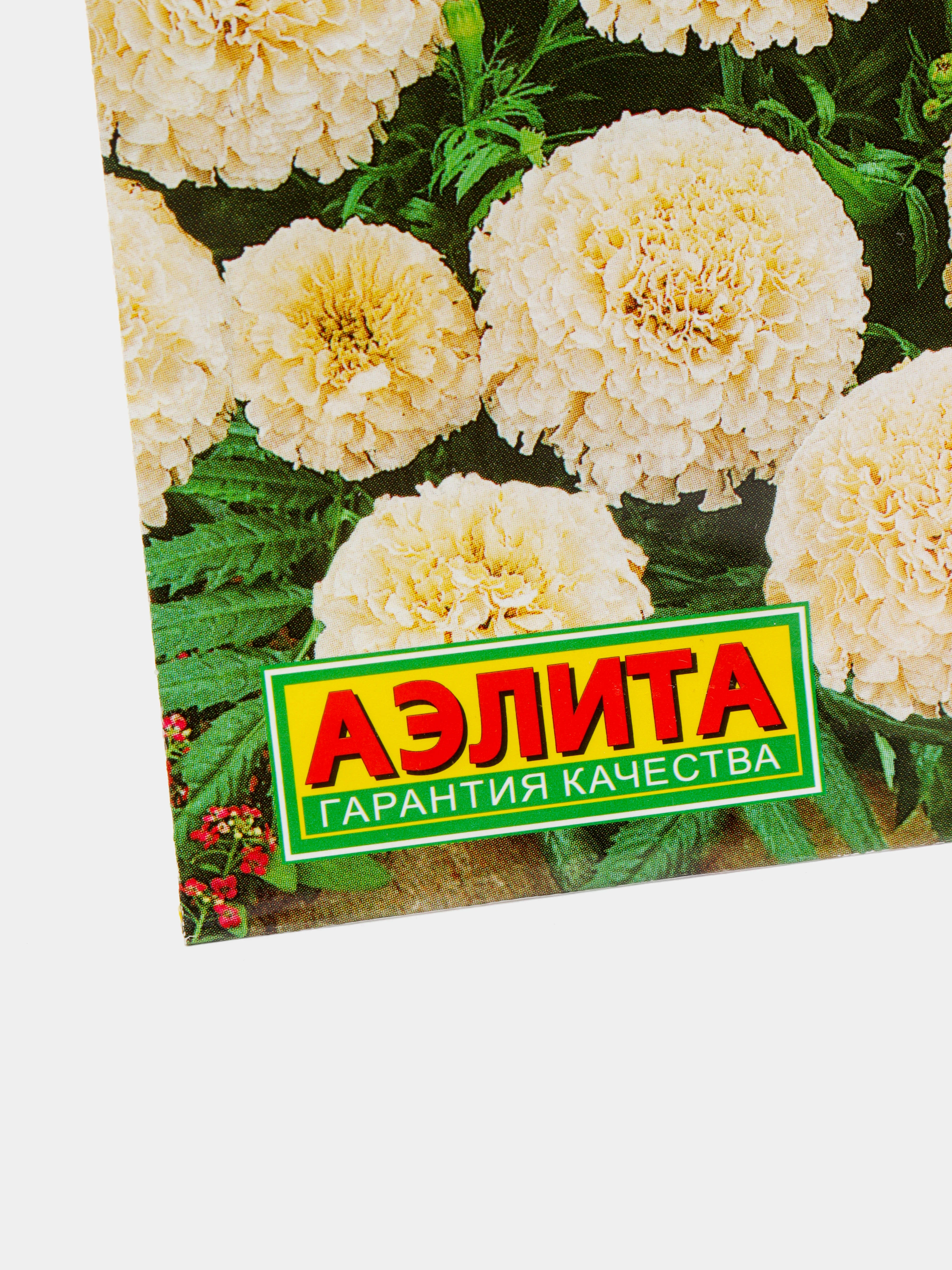 Бархатцы Снежная вьюга, семена, цветы