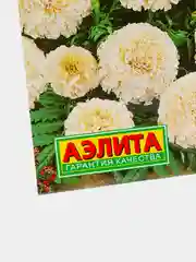 Бархатцы Снежная вьюга, семена, цветы