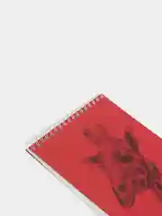 Красный скетчбук DRAWING BEAR 30 листов, 120 гр/м