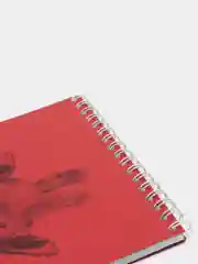 Красный скетчбук DRAWING BEAR 30 листов, 120 гр/м