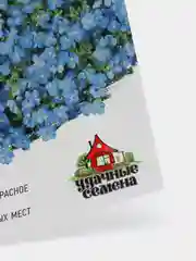 Семена Обриета Адансона "Лазурный берег" 1, 3, 5 уп