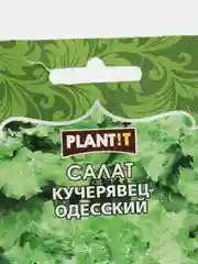 Семена Салат "Кучерявец Одесский" набор 1, 3, 5 уп