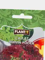 Семена Салат "Лолла Росса" набор 1, 3, 5 уп