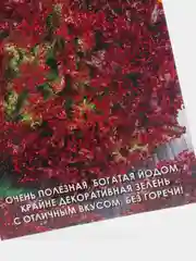 Семена Салат "Лолла Росса" набор 1, 3, 5 уп