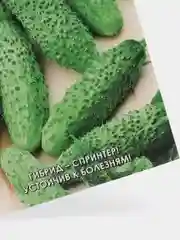 Семена Огурец корнишон "Кузнечик" набор 1, 3, 5 уп