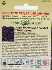Семена Астра "Эрфуртский карлик темно-синяя" набор 1, 3, 5 уп