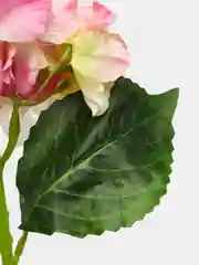 Розовый гортензия цветная, искусственные цветы