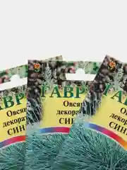 Семена Овсяница декоративная  Синичка  набор 1, 3, 5 уп