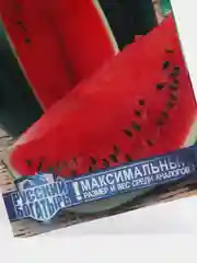 Семена Арбуз "Богатырский" набор 1, 3, 5 уп